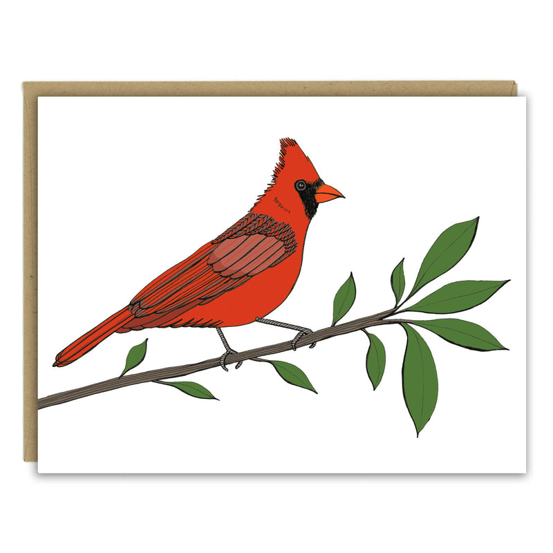 Backyard Birds Assorted Card Set of Ten