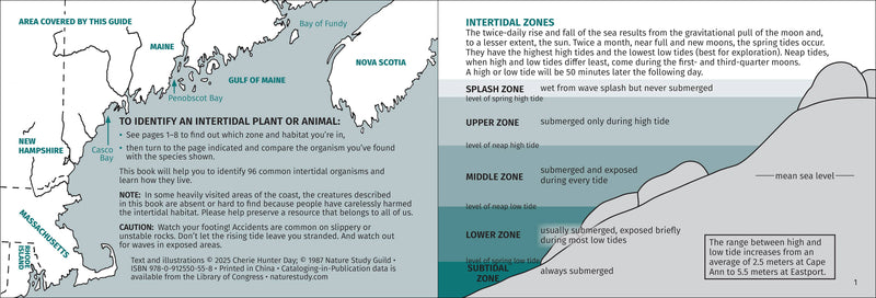 Life on Intertidal Rocks Pocket Guide