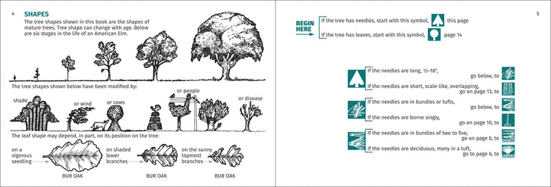 Tree Finder of the Northeast Pocket Guide