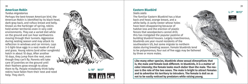 Bird Finder Pocket Guide