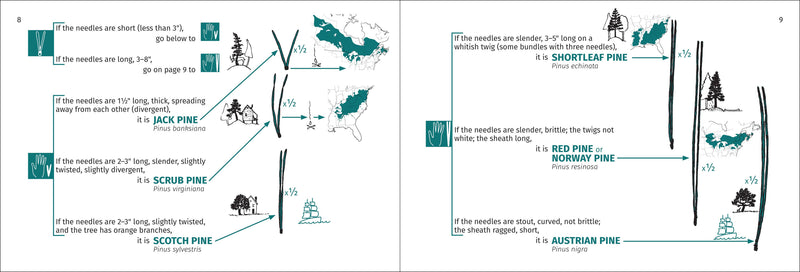 Tree Finder of the Northeast Pocket Guide