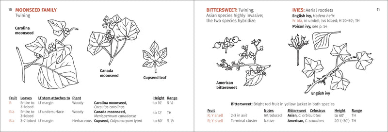 Berry Finder Nature Guide