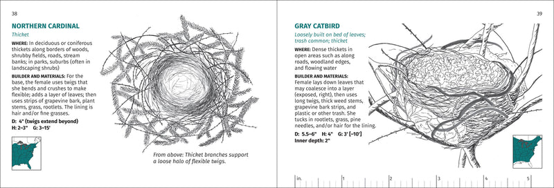 Bird Nest Finder Pocket Nature Guide