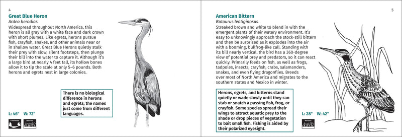 Bird Finder Pocket Guide