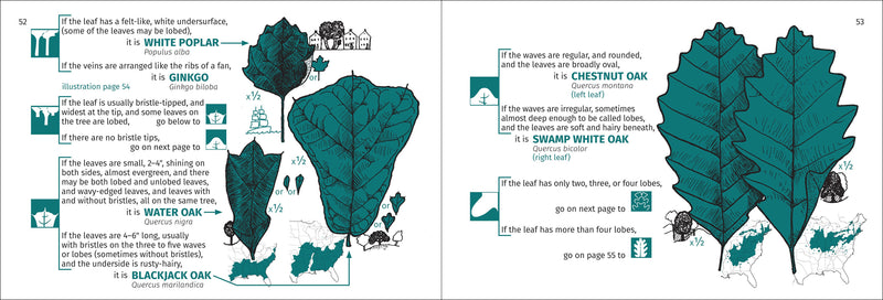 Tree Finder of the Northeast Pocket Guide