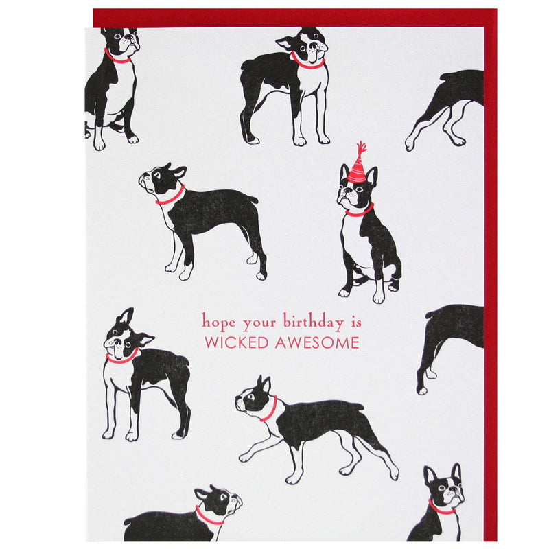 Boston Terrier Birthday Card