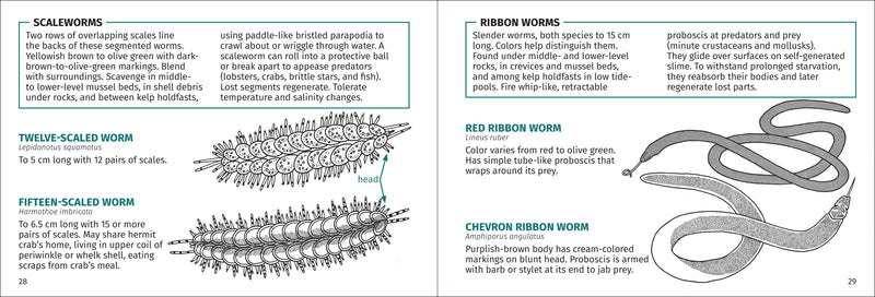 Life on Intertidal Rocks Pocket Guide