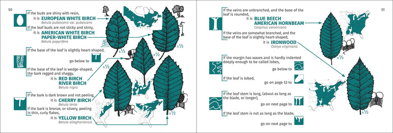 Tree Finder of the Northeast Pocket Guide
