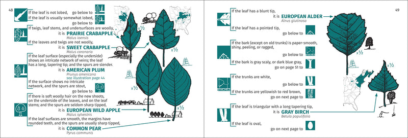 Tree Finder of the Northeast Pocket Guide