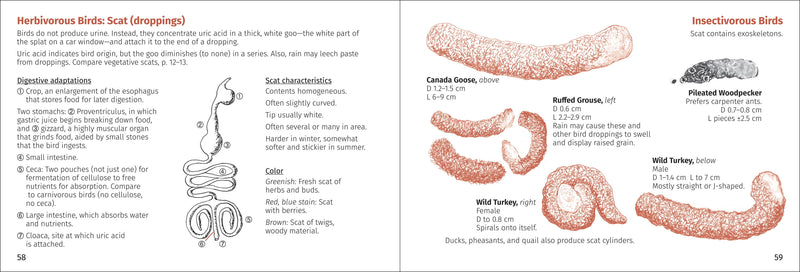 Scat Finder Pocket Guide