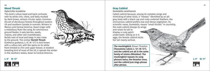 Bird Finder Pocket Guide