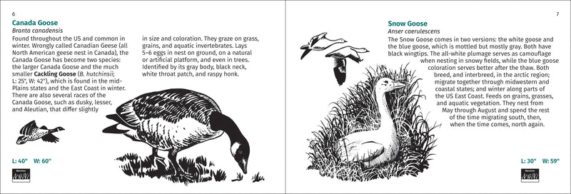 Bird Finder Pocket Guide