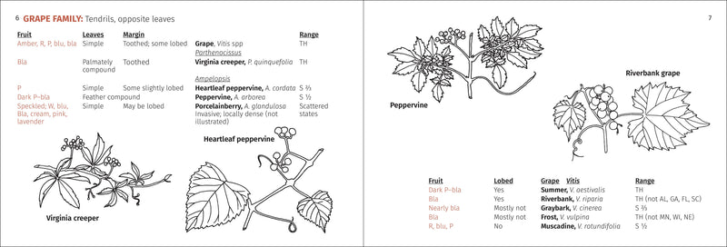 Berry Finder Nature Guide
