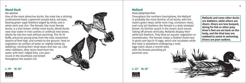 Bird Finder Pocket Guide