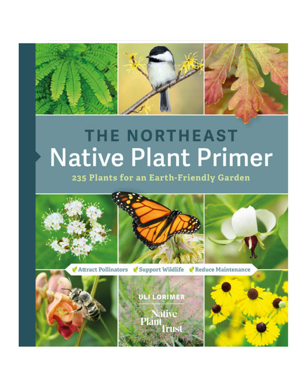 The Northeast Native Plant Primer: 235 Plants for an Earth-Friendly Garden | Paperback