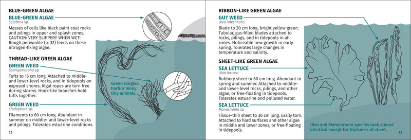 Life on Intertidal Rocks Pocket Guide