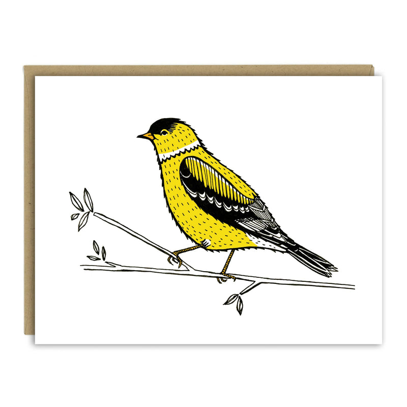 Backyard Birds Assorted Card Set of Ten