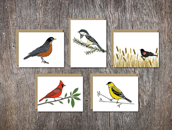 Backyard Birds Assorted Card Set of Ten