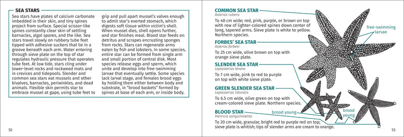Life on Intertidal Rocks Pocket Guide