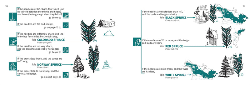 Tree Finder of the Northeast Pocket Guide