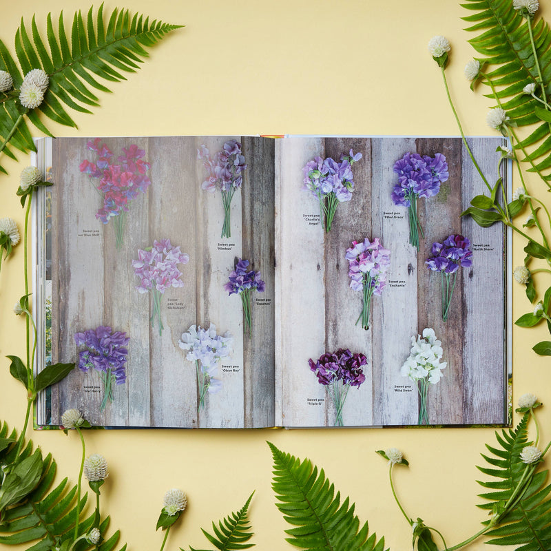 Floret Farm's A Year in Flowers | Hardcover