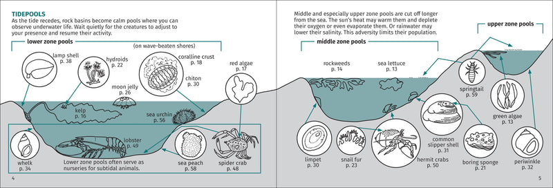 Life on Intertidal Rocks Pocket Guide