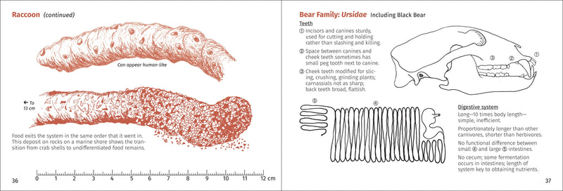 Scat Finder Pocket Guide