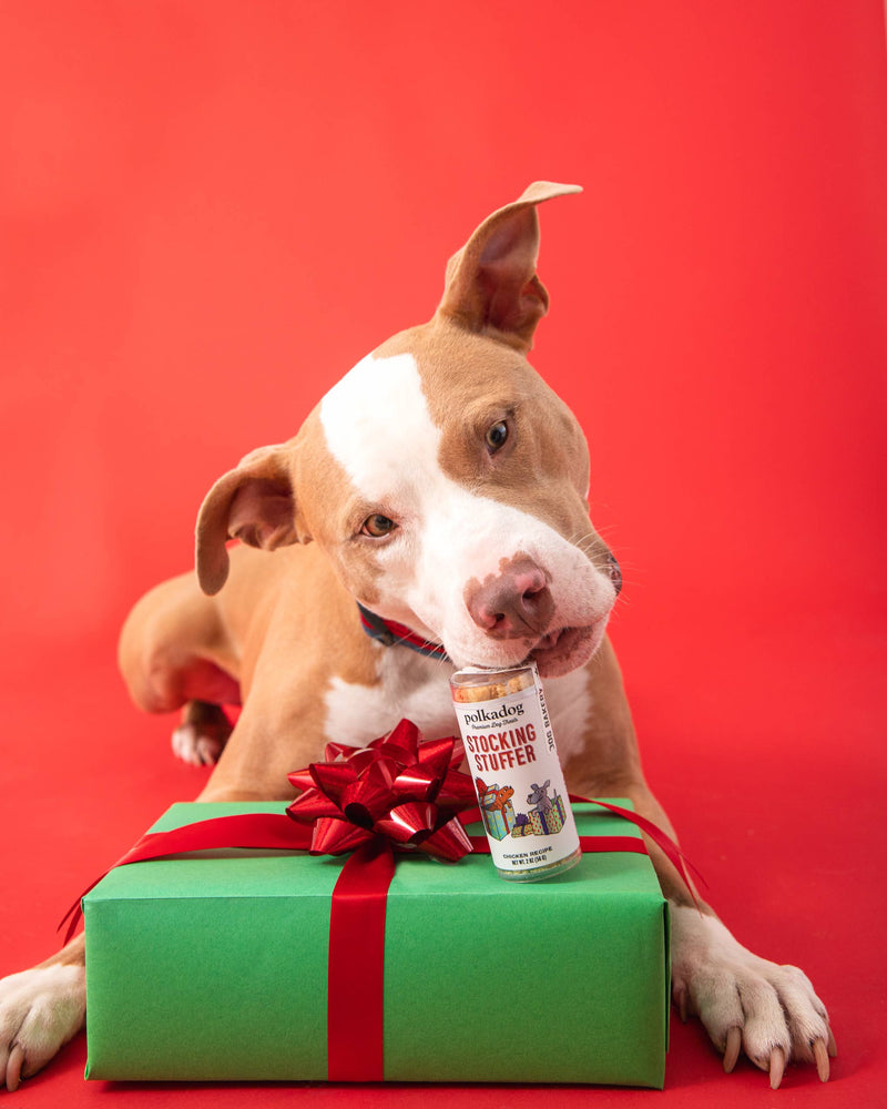 Dog Treats - Holiday Mini Tube: Stocking Stuffer - Dog Treats