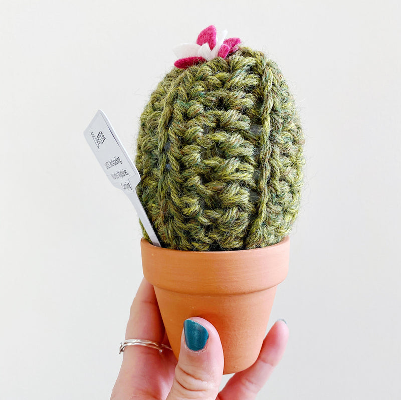 Crochet Cactus green