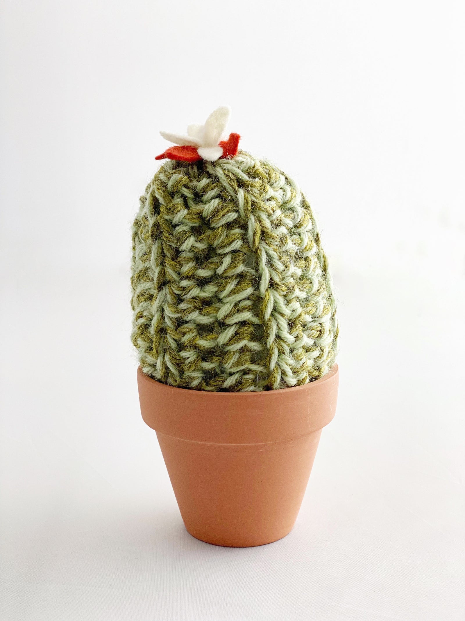 Crochet Cactus – Islay's Terrace Studio & Shop