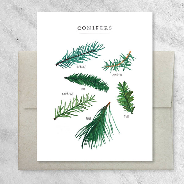 Greeting card with conifer specimens