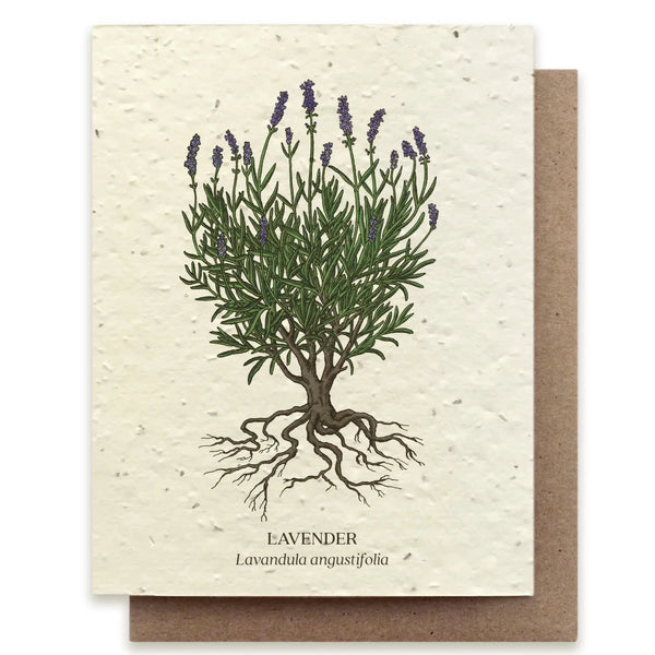 Lavender Plantable Wildflower Card