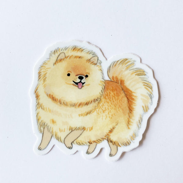 Pomeranian Vinyl Sticker