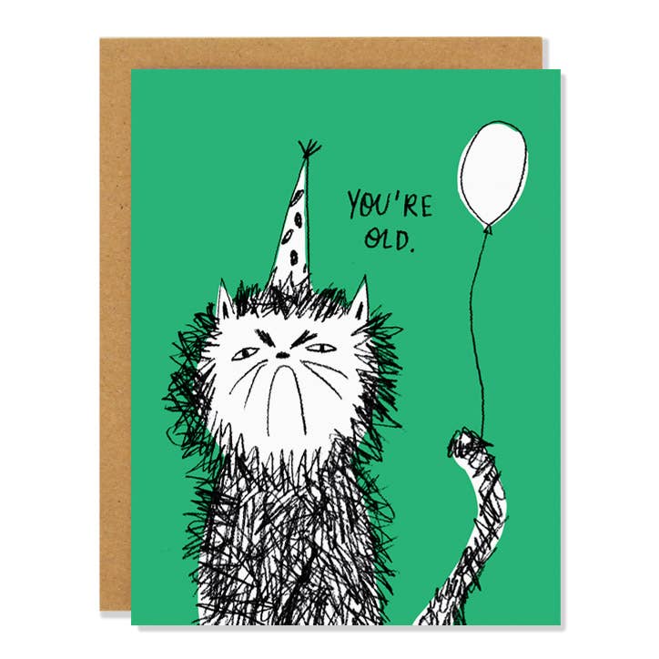 birthday card with grump cat wearing a party cat and text that reads "you're old"